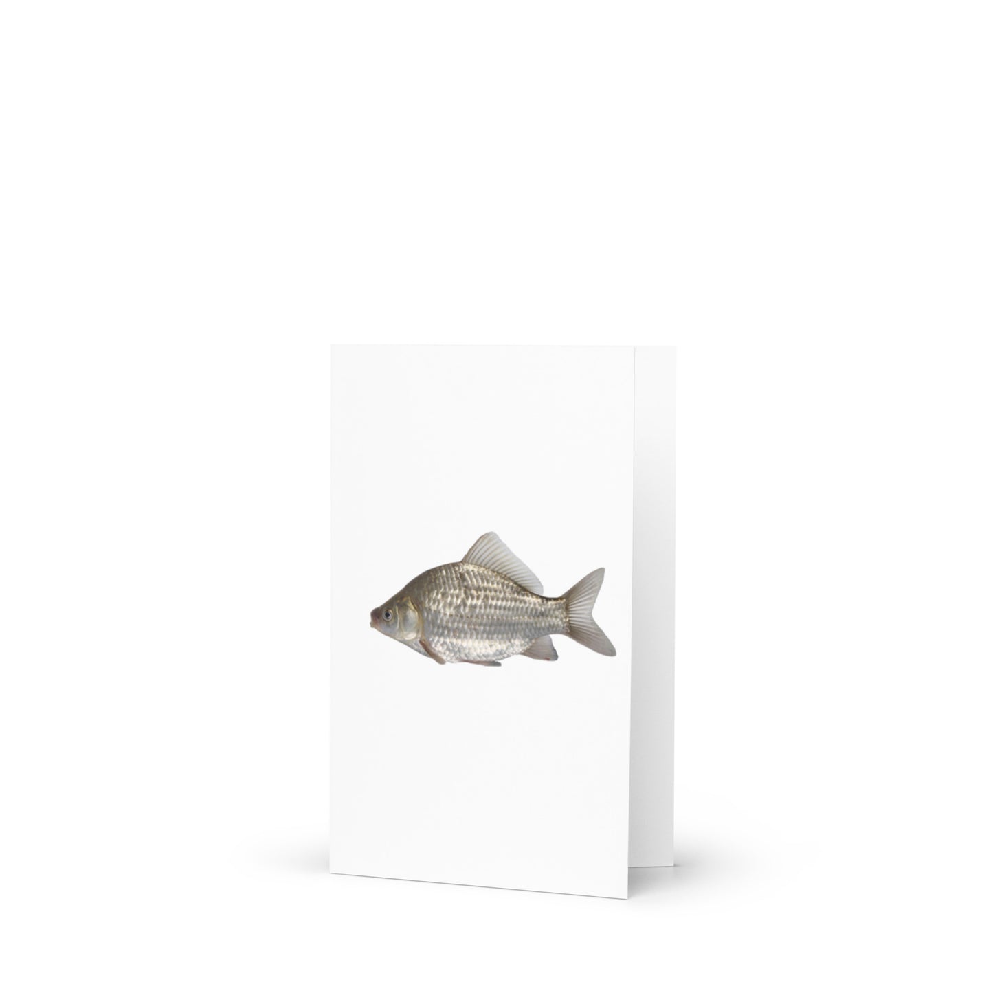 The Durable Startling Fishy Greeting Card (No Message Inside)