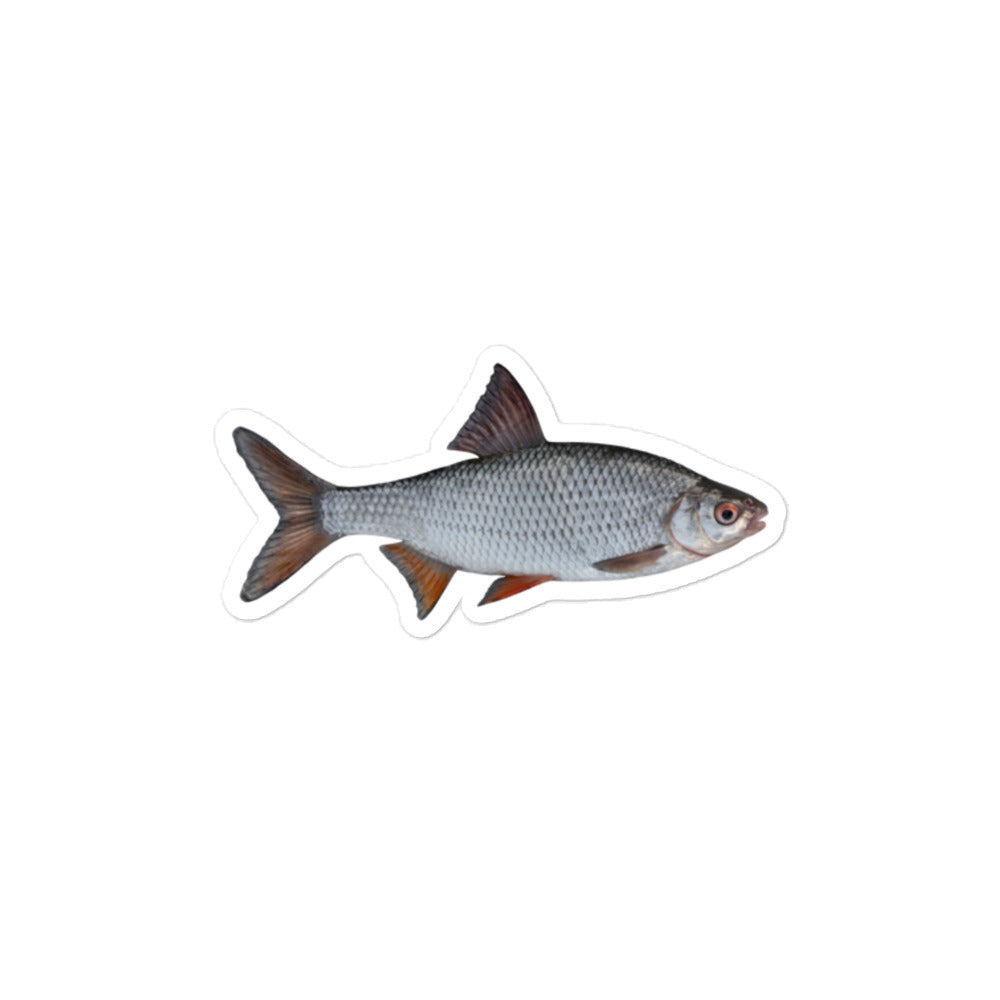 The Hilarious Revenge Fish Bubble-Free Sticker