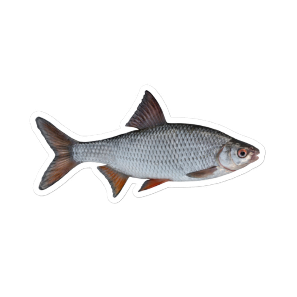 The Hilarious Revenge Fish Bubble-Free Sticker