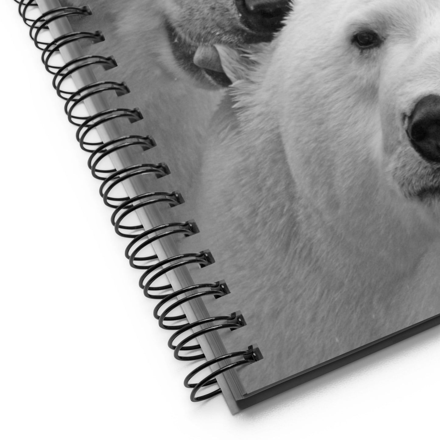 The Soothing Polar Bear Dotted Pages Creative IdeaBook