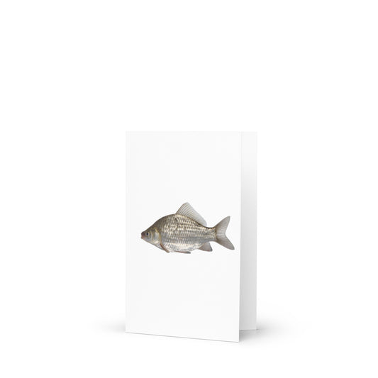 Fish Greeting Card With Encouraging Message Inside